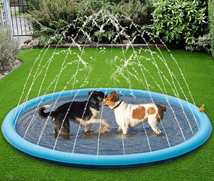 Cómo elegir una piscina para perros? - Guía de compra de